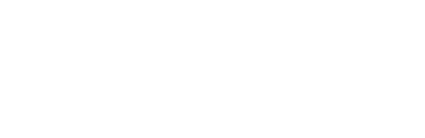 Wiener Immobilien, WI Bauträger